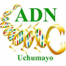 ADN Uchumayo