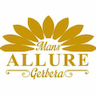 Mans Allure Gerbera