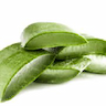 Forever Aloe Vera Malta. Independent Distributor.