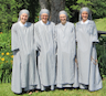 Apostolic Sisters of Saint John