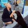 Aussie Pooch Mobile Dog Wash Holden Hill