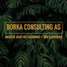 Borka Consulting AS