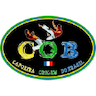 Cob-Capoeira Origem Do Brasil Evron