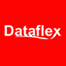 Dataflex Tecnologia do Brasil