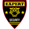 Expert Security Service