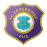Fanshop FC Erzgebirge Aue