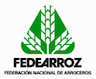 Fedearroz San Alberto