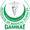 Gambat Institute of Medical Sciences