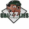 Grizzlies Linz