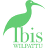 The Ibis - Wilpattu
