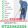 Jopestkil Fumigation and Pest Control Services Company - Kisumu