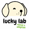 Lucky Lab Rescue Inc