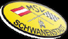 MSV Schwanenstadt