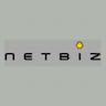 netbiz consulting