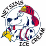 Netsins Ice Cream