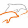 Orange Dolphins