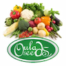 OULA SEEDS L.L.C. شركة الأولى لإنتاج البذور