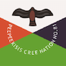 Peepeekisis Cree Nation, Governance