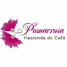 Pomorrosa Cafe Tours
