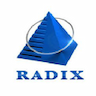 Radixweb- Radix Software Services Pvt Ltd