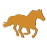 Sahara Horses