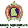 Khairpur College of Agricultural Engineering and Technology