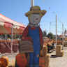 Seasonal Adventures Pumpkin Patch & Christmas Trees