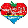 Strawberry Fields Together!