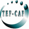 Tef Cap Industries • Heat Shrinkable and Extruded PTFE FEP PFA Tubing