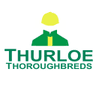 Thurloe Thoroughbred Services