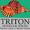 Triton Indian Restaurant