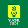 Yuksel seeds Maroc