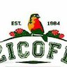Zigoti Coffee Works Limited