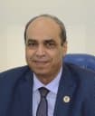 Prof. Mohammed Abo-Zahhad Abo-Zeid
