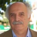 Yiannis C. Bassiakos, Professor