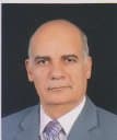 Mohamed Ahmed Hanafy