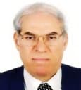 Ahmed M. Abdel-Khalek