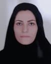 fatemeh hemmati