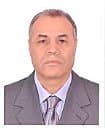 Prof. Dr. Eng. Abdel Mohsen Onsy Mohamed
