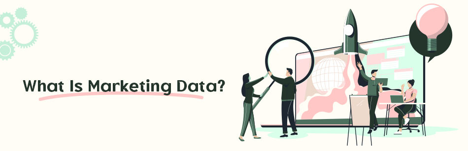 What Is Marketing Data?
