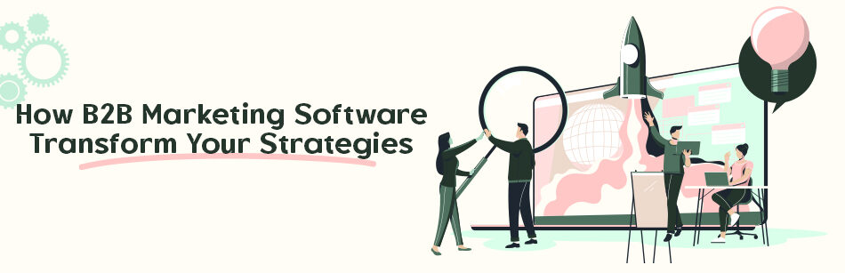 How to B2B Marketing Software Transform Your Strategies?
