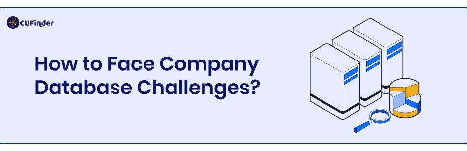 How to Face Company Database Challenges?