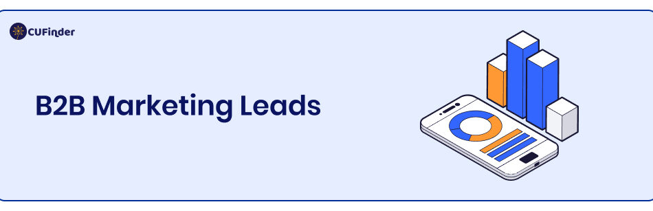 The Must-Know Details about B2B Marketing Leads