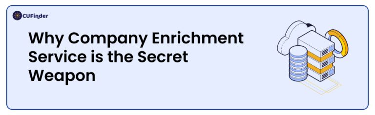Why Company Enrichment Service is the Secret Weapon
