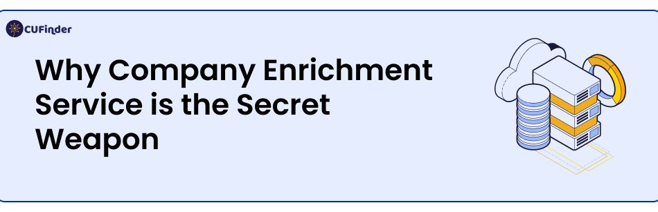 Why Company Enrichment Service is the Secret Weapon